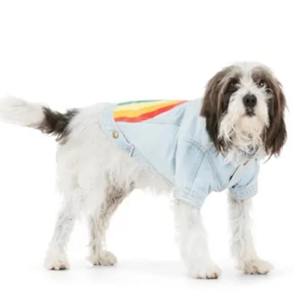 YOULY Rainbow Denim Dog Pride Jacket M